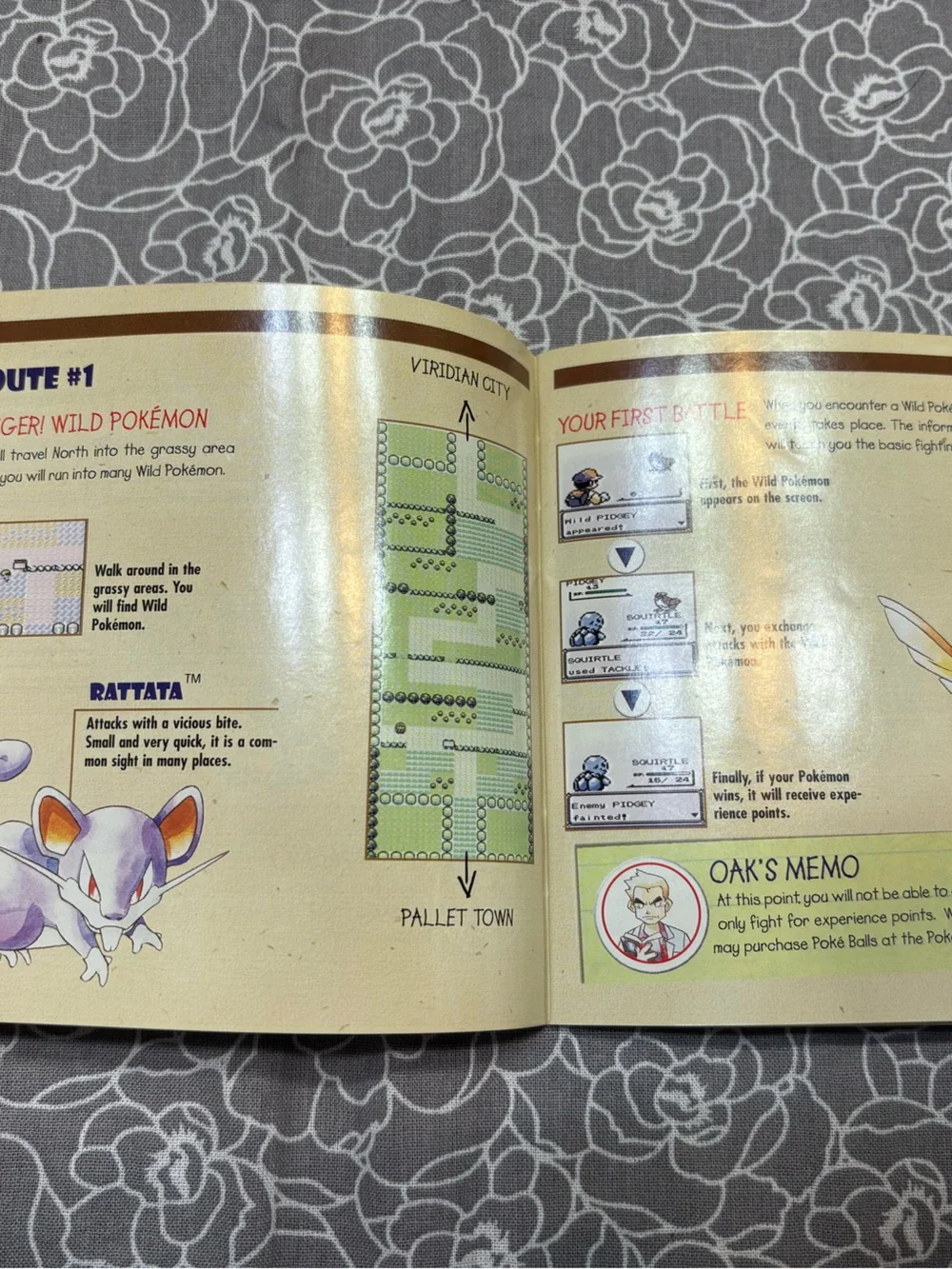 Nintendo Pokémon Trainer's Guide & Rules Booklets - Brown and Blue